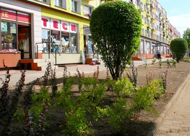 Zobacz: Przebudowa zieleni przy ulicy Wojska Polskiego